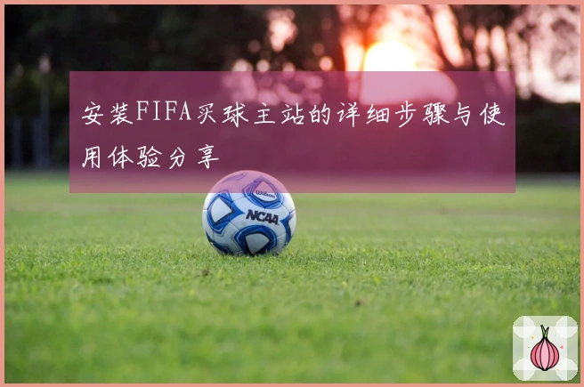 安装FIFA买球主站的详细步骤与使用体验分享