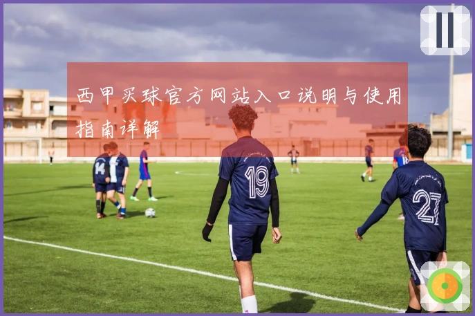 西甲买球官方网站入口说明与使用指南详解