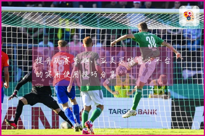 提升观赛乐趣，亚美买球官方平台的实用使用技巧分享