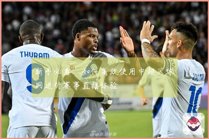 新手必看：如何高效使用中超买球网进行赛事直播体验