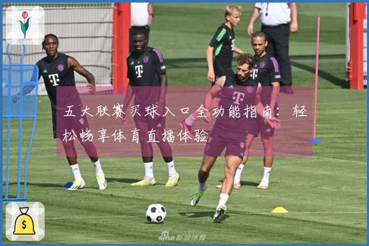 五大联赛买球入口全功能指南：轻松畅享体育直播体验