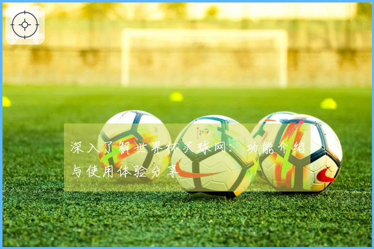 深入了解世界杯买球网：功能介绍与使用体验分享