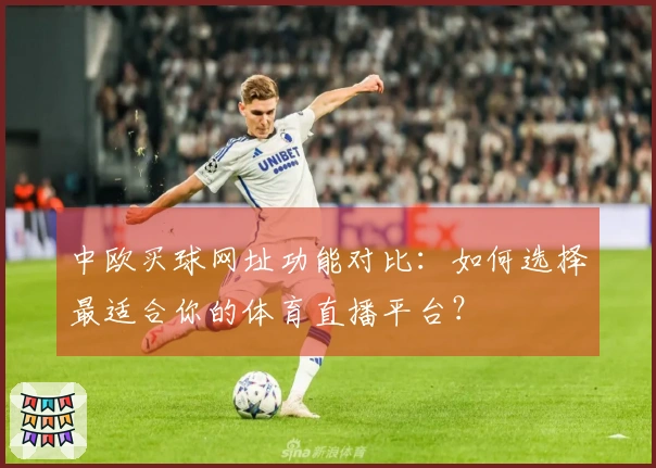 中欧买球网址功能对比：如何选择最适合你的体育直播平台？