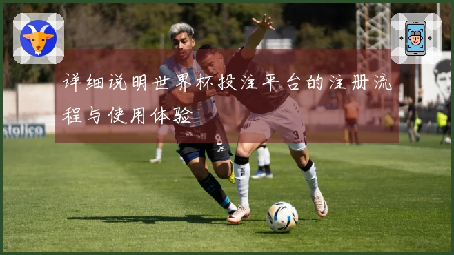 详细说明世界杯投注平台的注册流程与使用体验