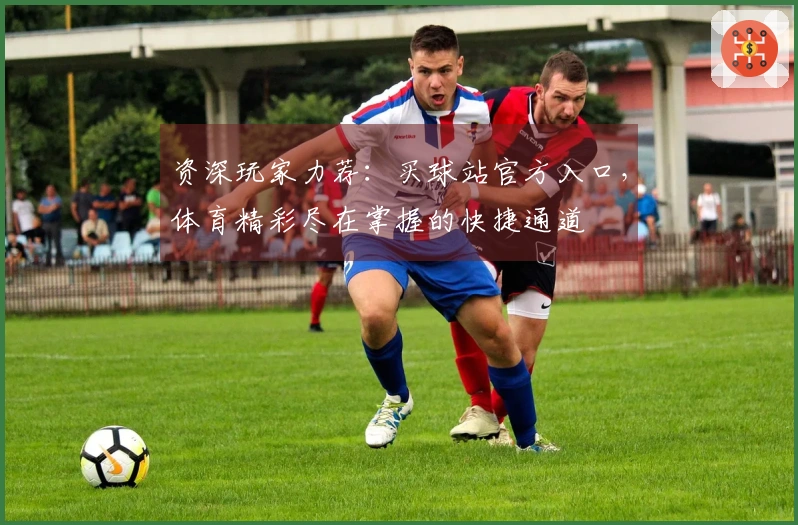 资深玩家力荐：买球站官方入口，体育精彩尽在掌握的快捷通道