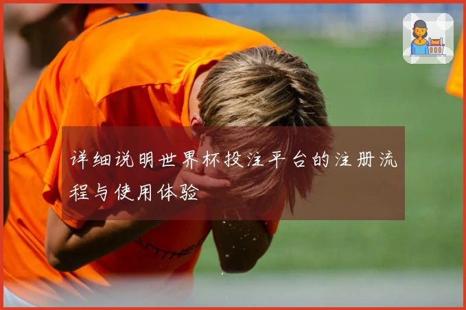 详细说明世界杯投注平台的注册流程与使用体验