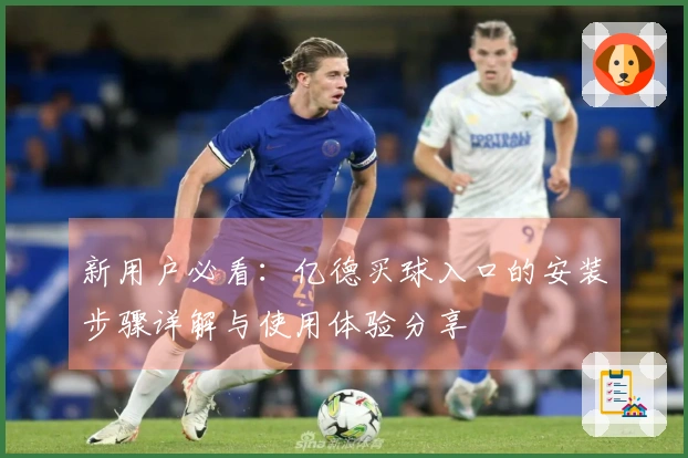 新用户必看：亿德买球入口的安装步骤详解与使用体验分享