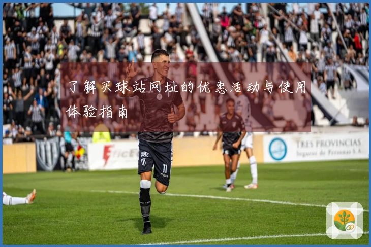 了解买球站网址的优惠活动与使用体验指南