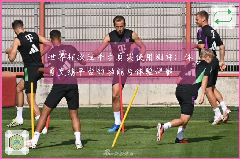 世界杯投注平台真实使用测评：体育直播平台的功能与体验详解
